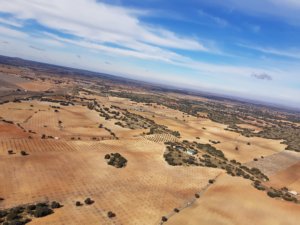 plateau-Albaceite