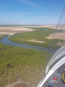 mangrove-Sine-Saloum