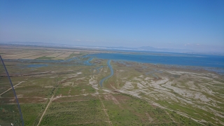 camargue-Thessalonique