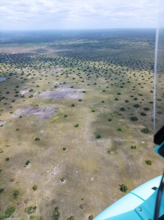 211110-16541919-plaine-verte-mouchetee-gyrocopter-africa