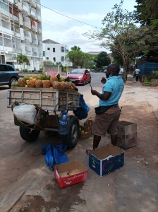 Mozambic-calin-MAPUTO-RESIDENTIAL