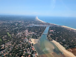 Cap-Breton ulm