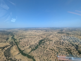 sud-Portugal-savane ulm